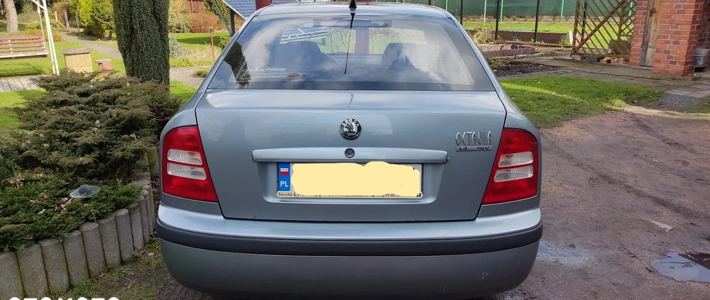 Skoda Octavia cena 6500 przebieg: 355000, rok produkcji 2004 z Ogrodzieniec małe 67